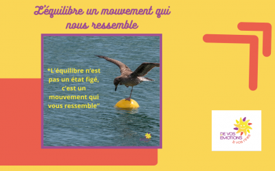 L&rsquo;équilibre un mouvement qui nous ressemble